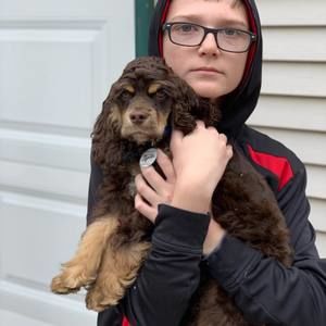 Meet your Posher, Gavin